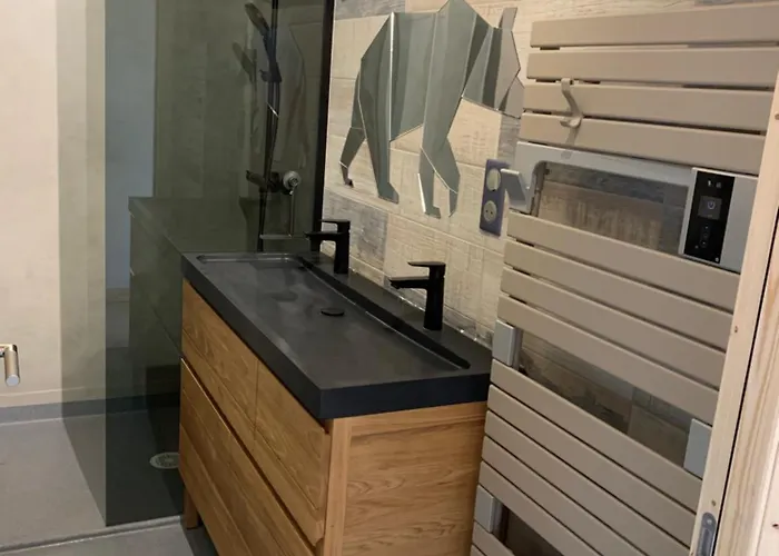 L'ail Des Ours Les Estables